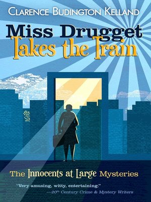 cover image of Miss Drugget Takes the Train